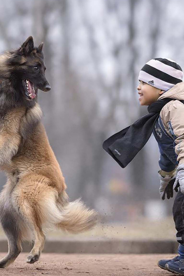 Маленький мальчик играет с овчаркой