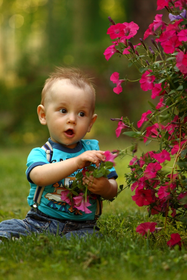 Маленький мальчик сидит возле красных цветов петунии