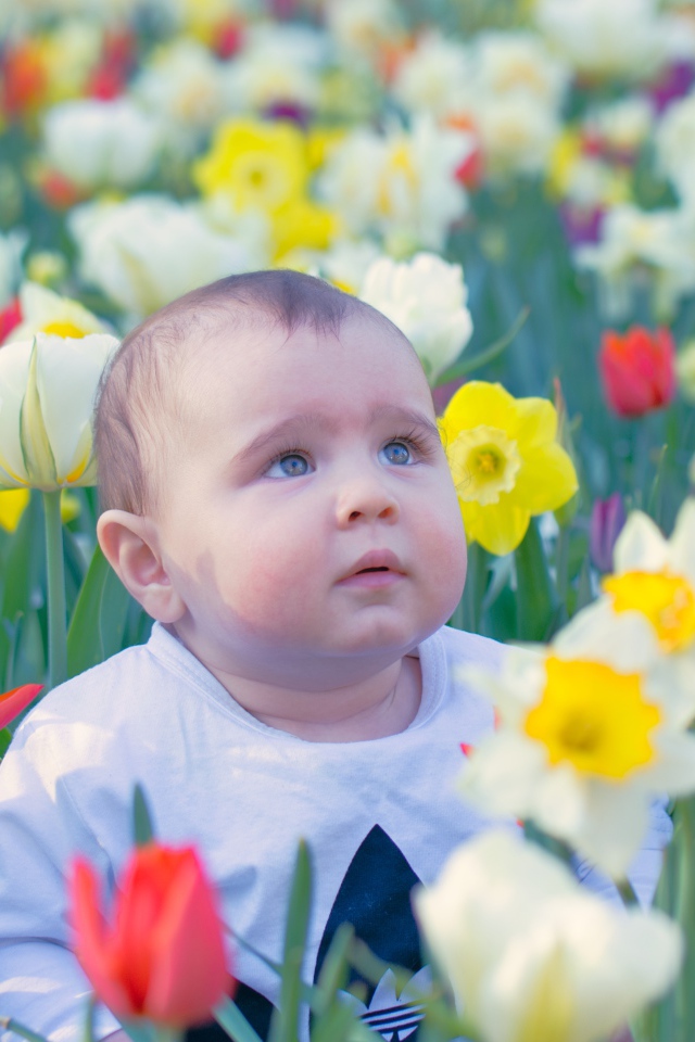 Маленький ребенок сидит на клумбе с тюльпанами и нарциссами 