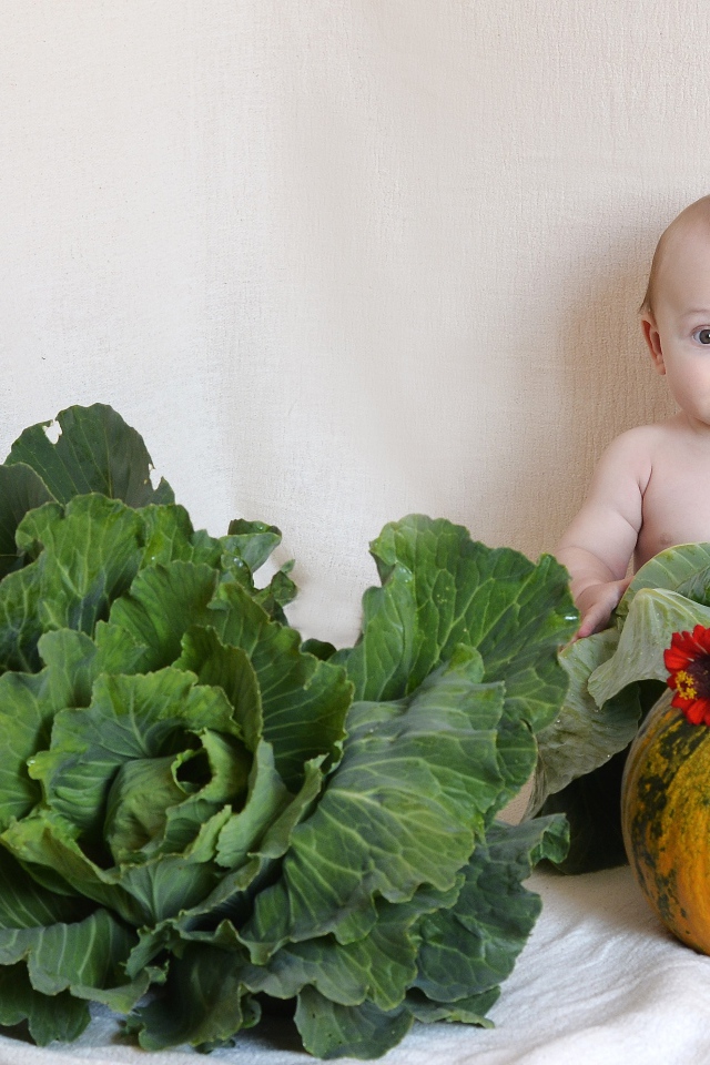 Маленький ребенок с  тыквой и капустой у стены