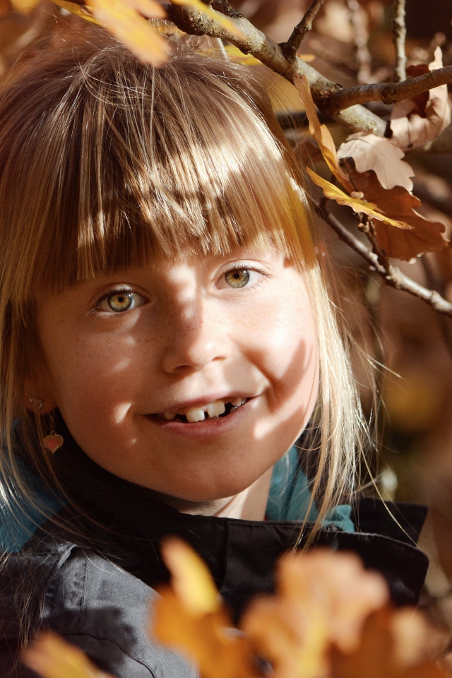 Маленькая девочка в ветках дерева осенью 