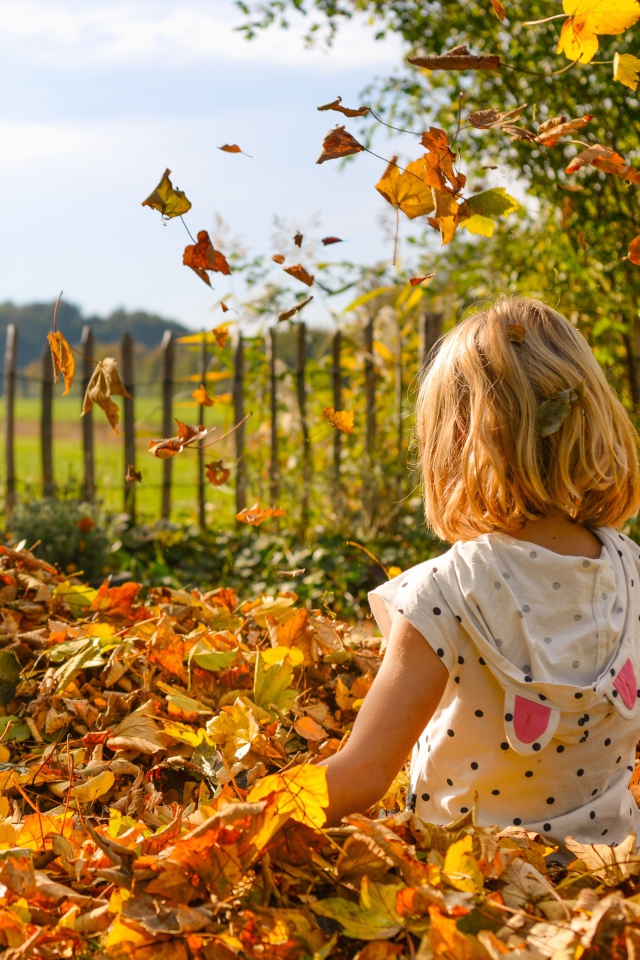 Маленькая девочка сидит в сухой листве