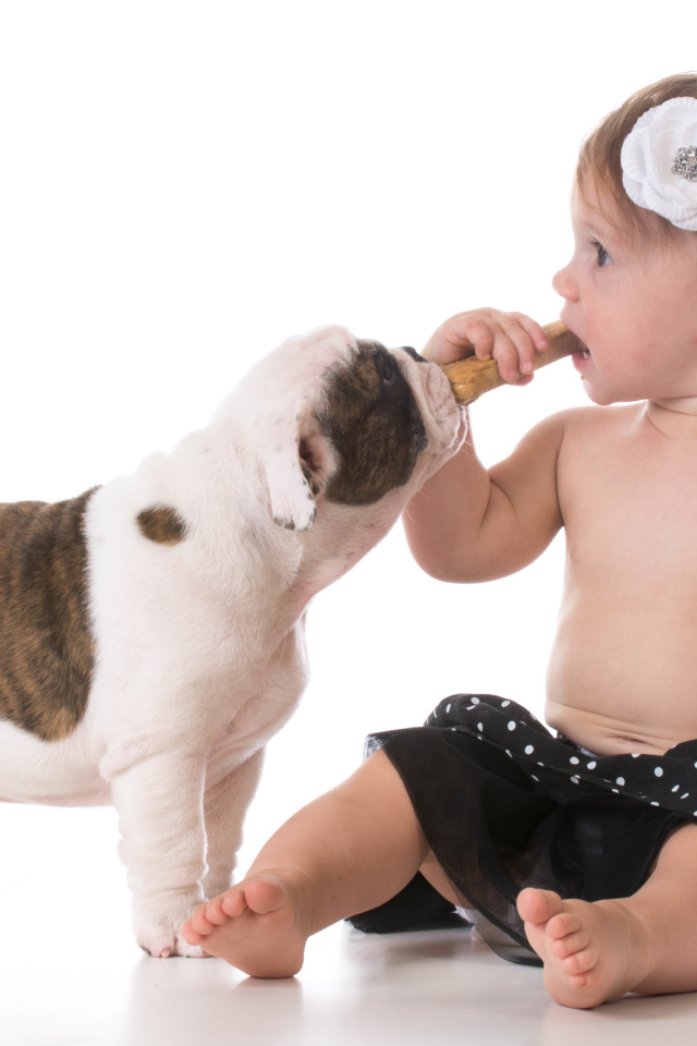 Маленькая девочка с милым щенком на белом фоне