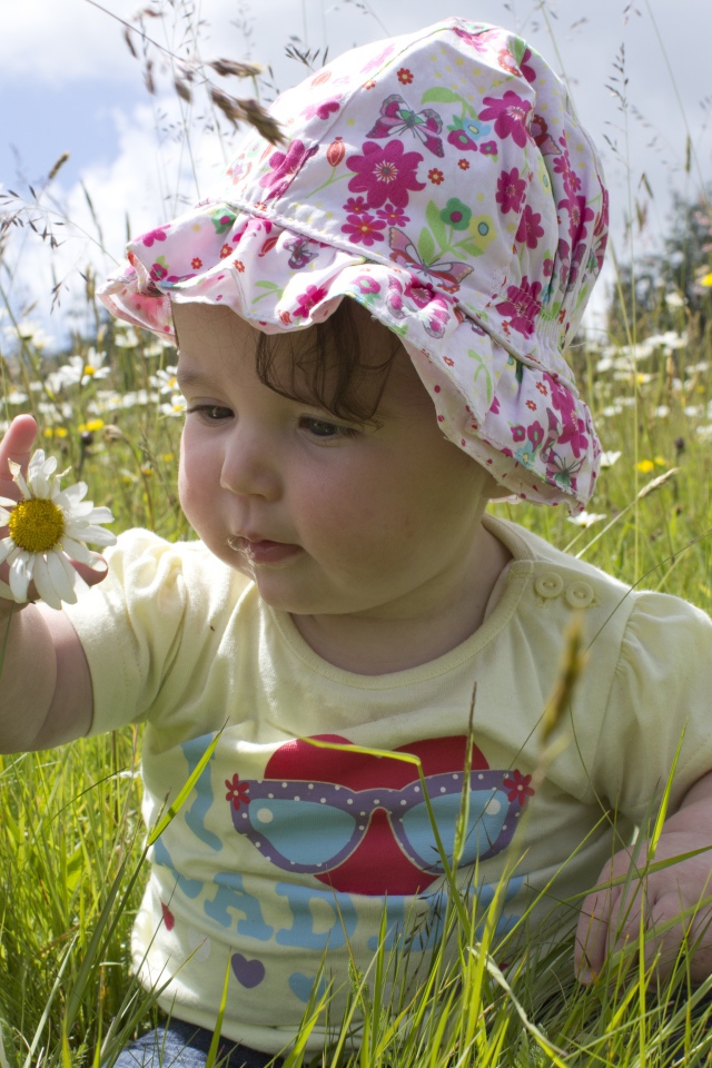 Маленький ребенок в панамке с ромашкой в руке