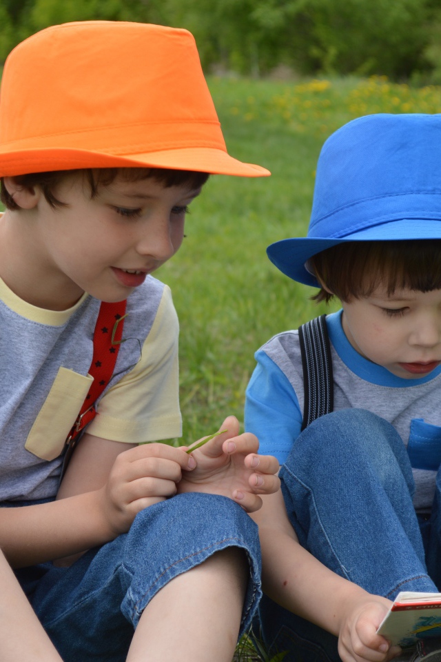 Два мальчика с книгой сидят на траве