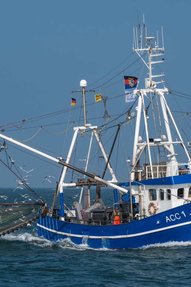 Рыболовецкая шхуна с сетями в море 