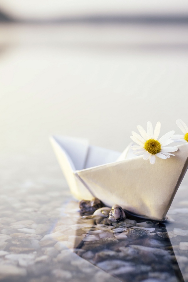 Бумажный кораблик в воде с ромашками