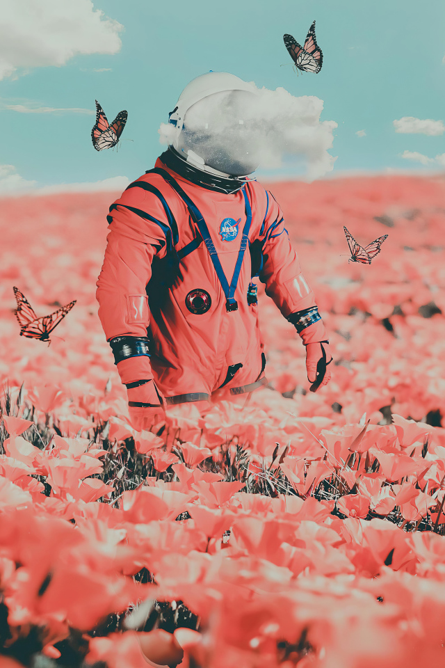 Космонавт идет по полю с бабочками и красными маками