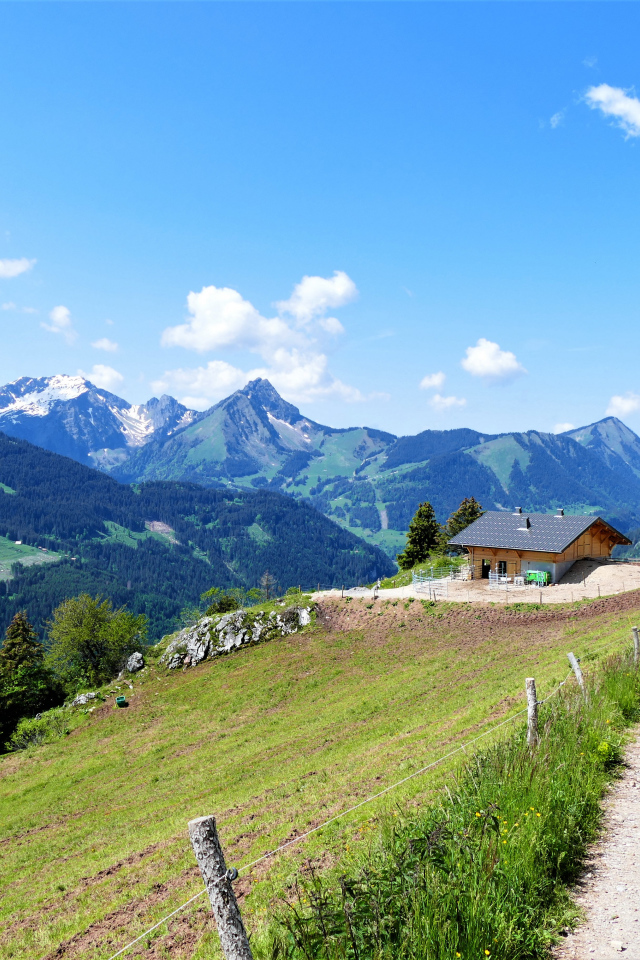 Красивый вид на покрытые зеленью Альпы, Франция 