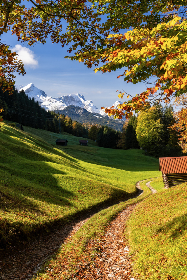 Красивая зеленая природа Альп, Германия