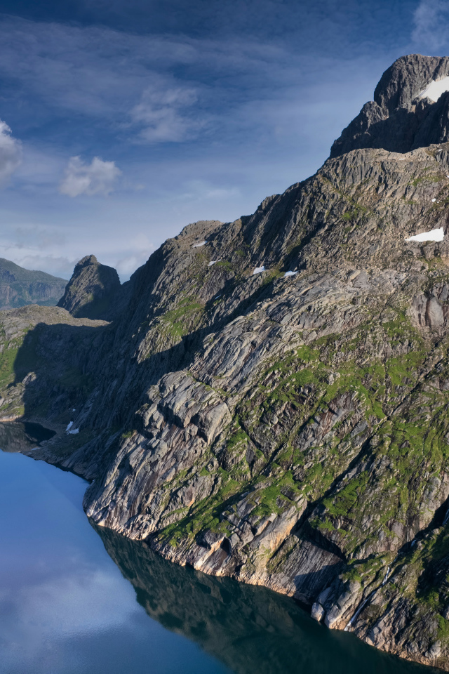 Большая серая года у озера, Лофотенские острова. Норвегия