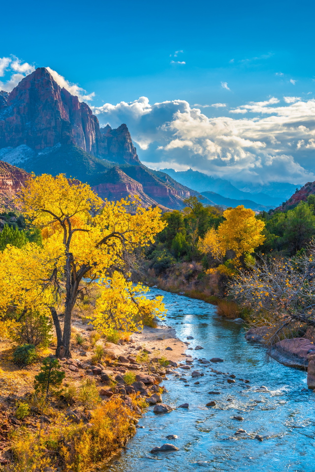 Красивый вид на национальный парк Сион осенью, США