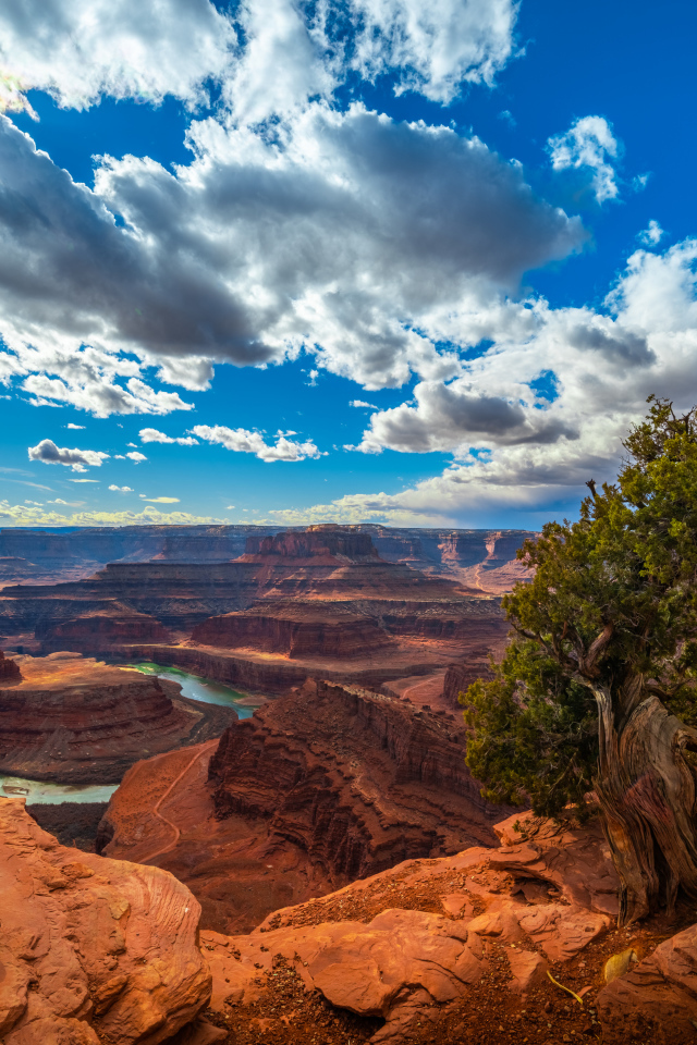 Красивый вид на каньон под голубым небом, США