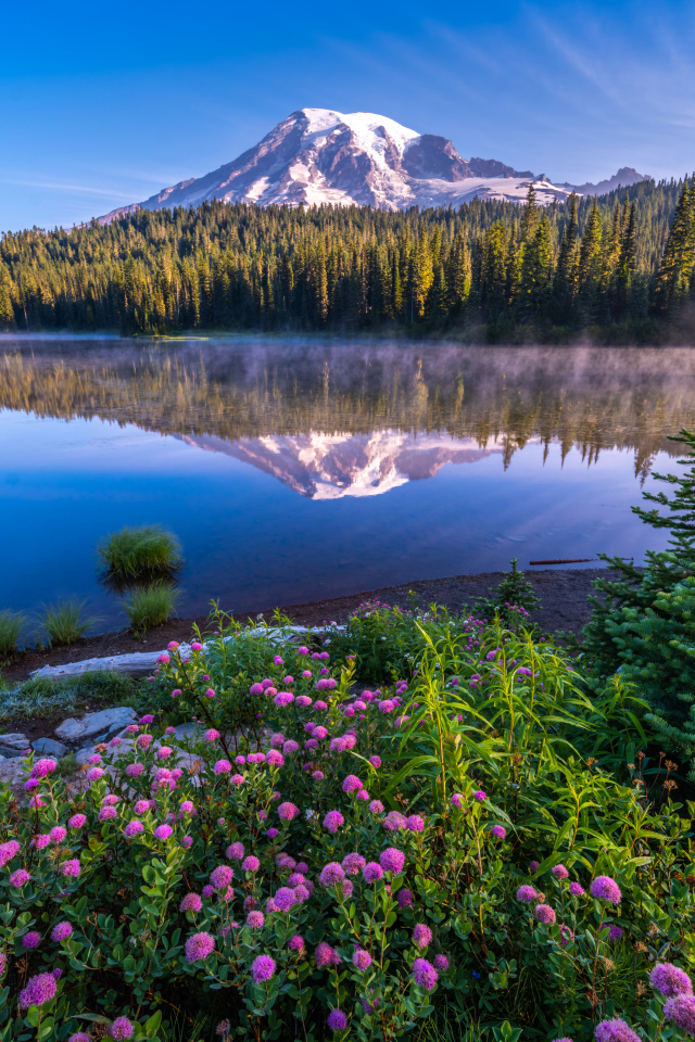 Красивый вид на заснеженную вершину горы у озера, США 