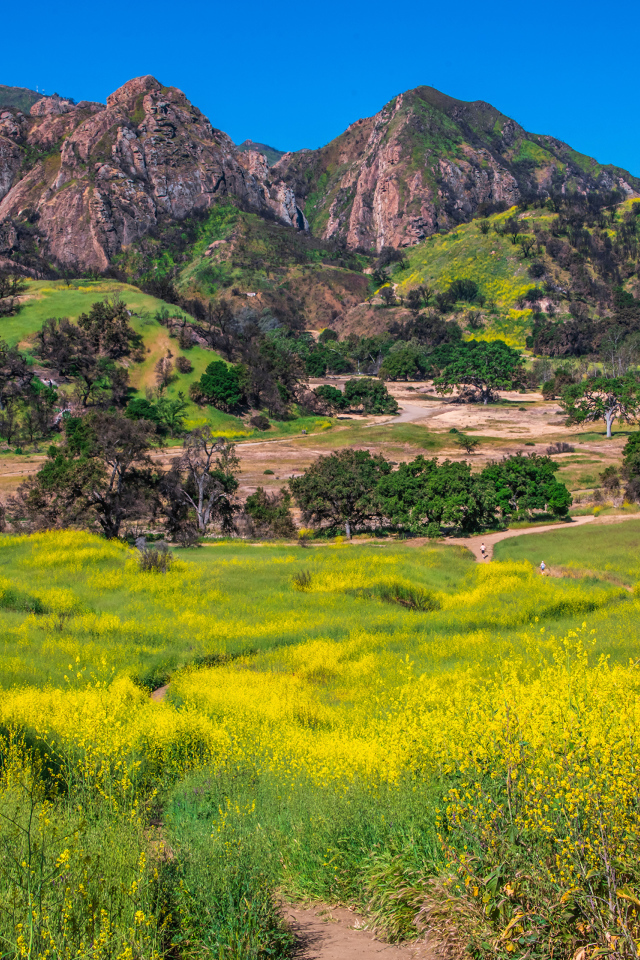 Большие горы под голубым небом, США