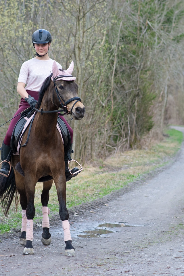 Молодая девушка катается на лошади 