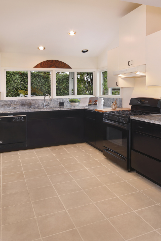 Большая кухня с черной  мебелью 