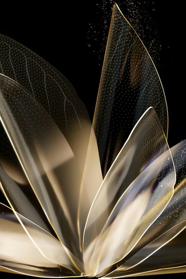 Распустившийся абстрактный цветок на черном фоне