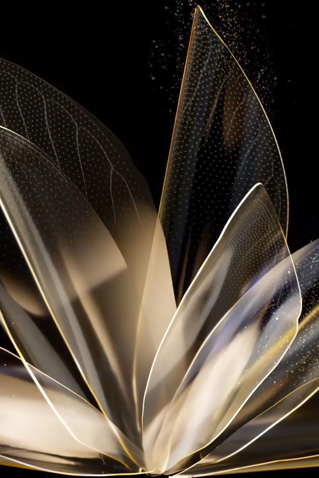 Фантастический абстрактный цветок на черном фоне