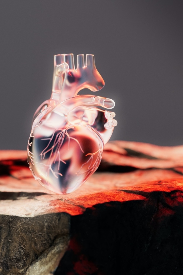 Стеклянное 3д сердце на камне
