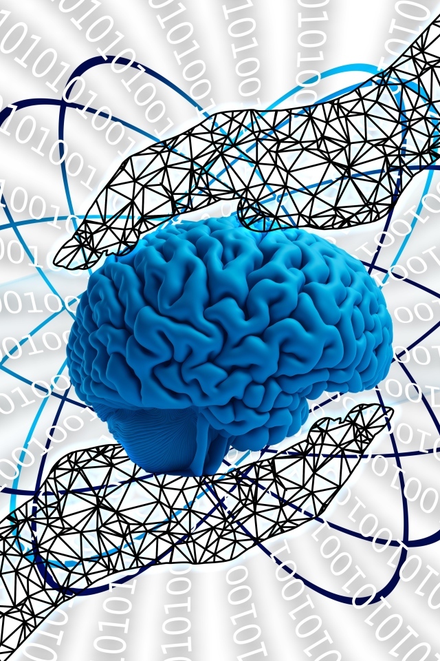 Человеческий мозг в сфере всемирной паутины технологий