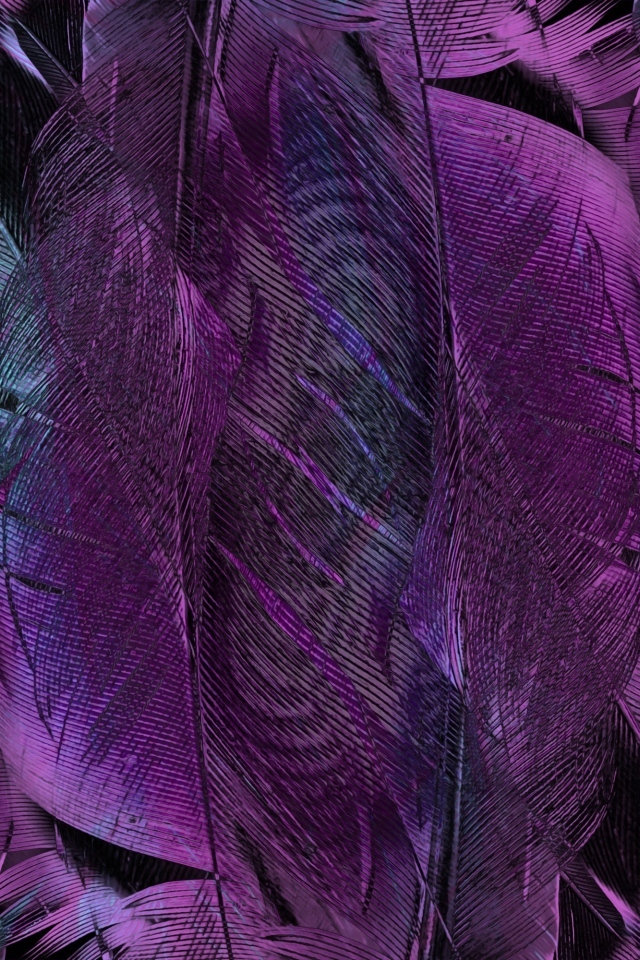 Фиолетовые перья птицы крупным планом