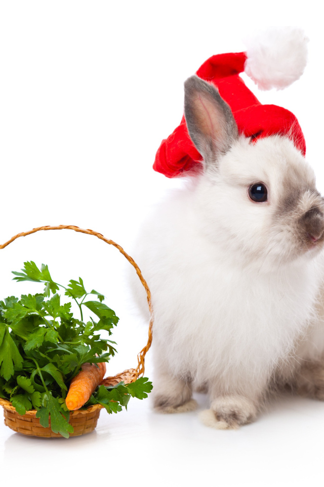 Милый кролик с корзинкой с зеленью на белом фоне