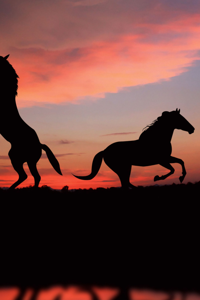 Два силуэта лошади на фоне заката