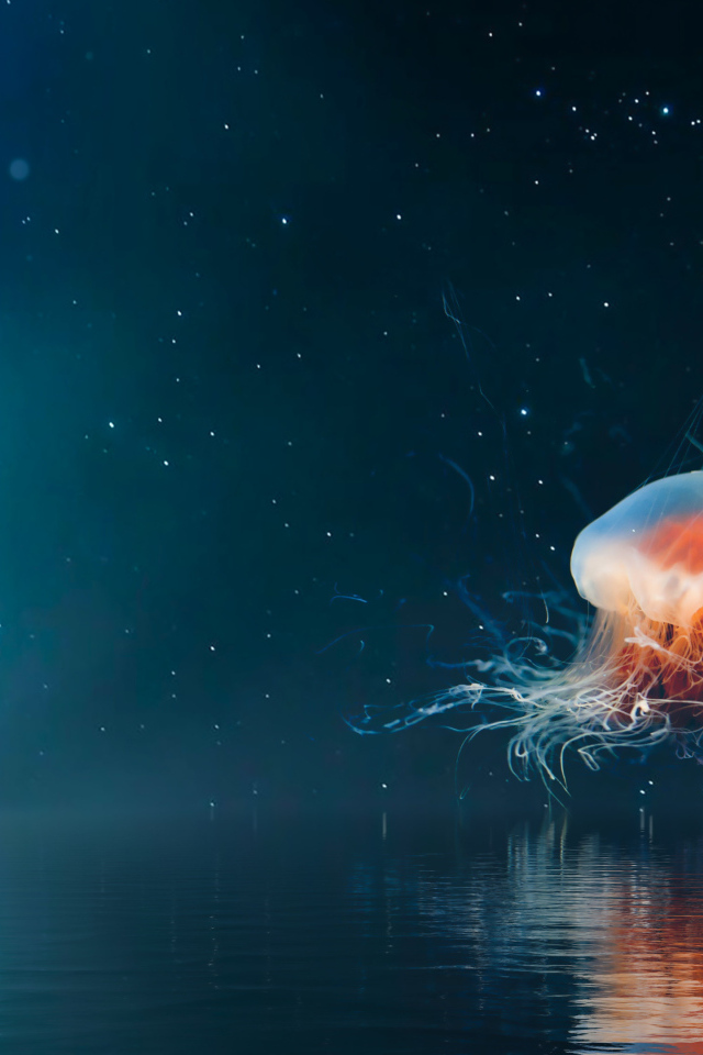 Большая медуза на фоне неба