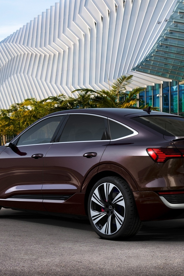 Автомобиль Audi Q8 Sportback 55 E-Tron Quattro вид сзади