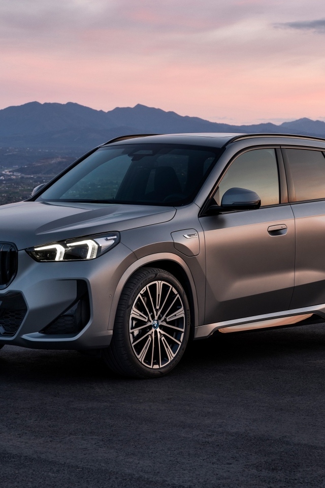 Автомобиль BMW X1 XDrive30e M Sport 2022
