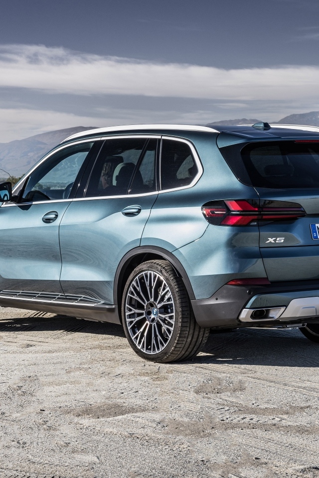 Кроссовер BMW X5 2023 вид сзади