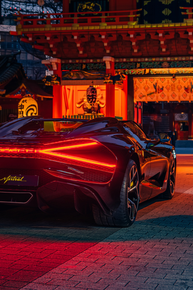 Черный Bugatti W16 Mistral  вид сзади