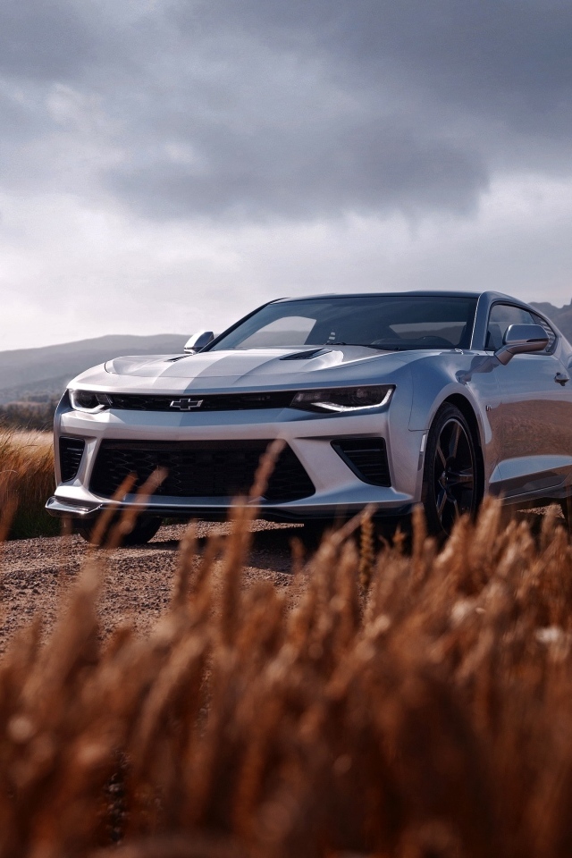Автомобиль Chevrolet Camaro SS на дороге
