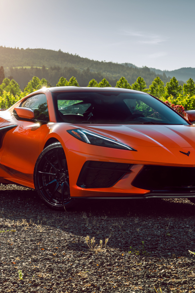 Быстрый гоночный автомобиль Chevrolet Corvette C8 в лучах солнца