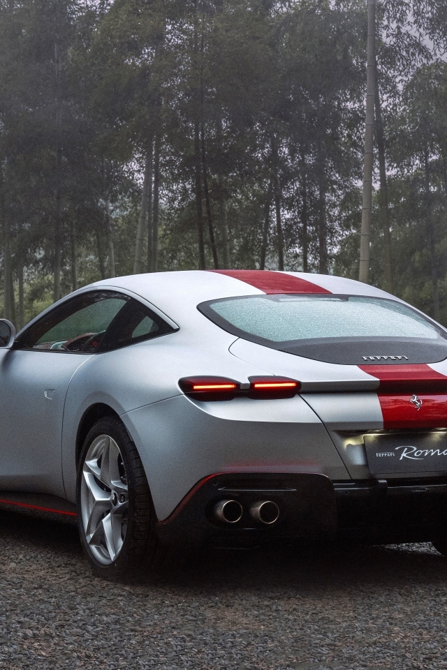 Автомобиль Ferrari Roma 30th Anniversary 2023  вид сзади