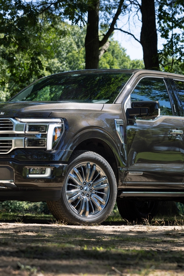 Большой пикап Ford F-150 Platinum 2024 года