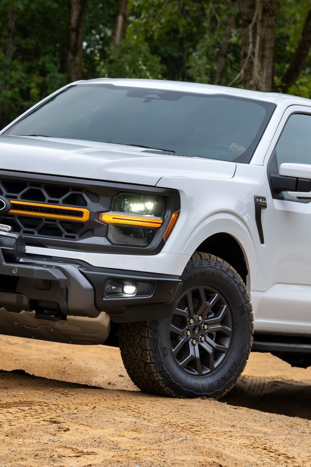 Большой Ford F-150 Tremor  2024 года стоит на песке