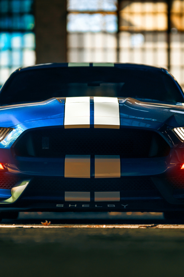 Красивый гоночный автомобиль Ford Mustang Shelby GT350 вид спереди