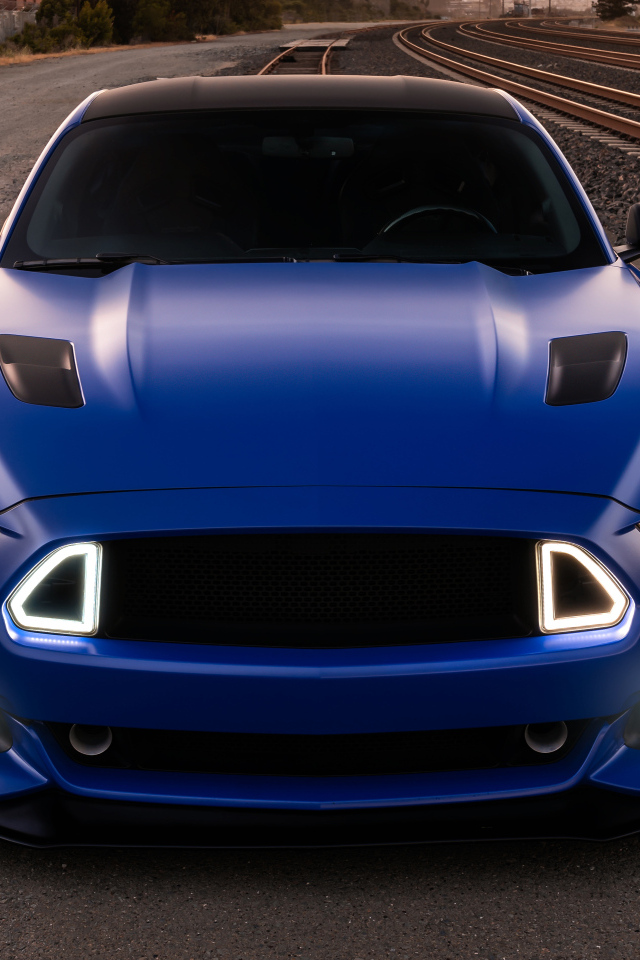 Синий Ford Mustang GT вид спереди