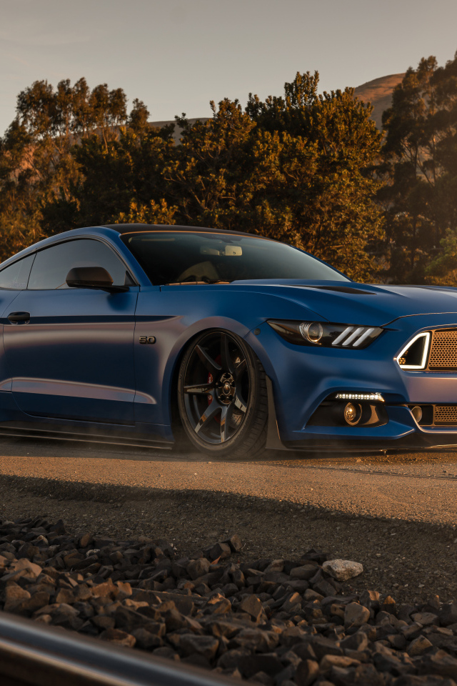 Синий быстрый автомобиль Ford Mustang GT