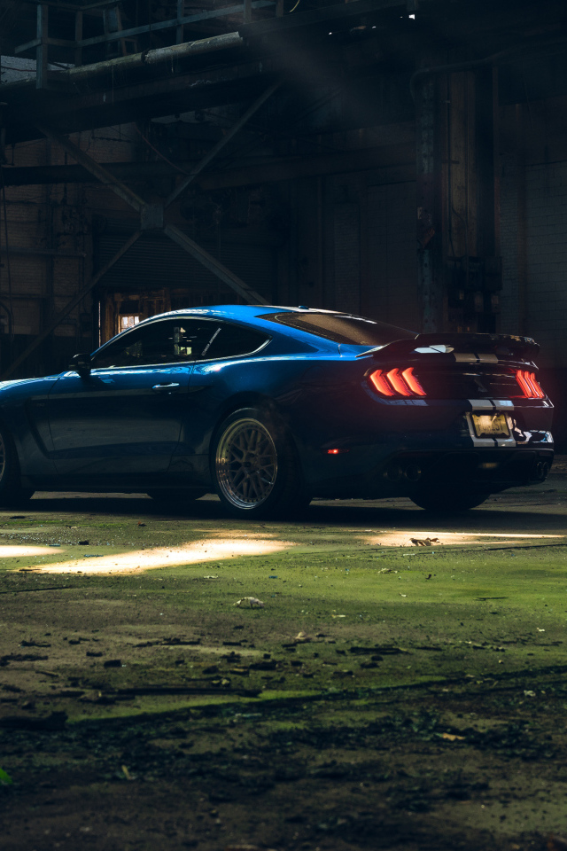 Автомобиль Ford Shelby GT350  вид сзади