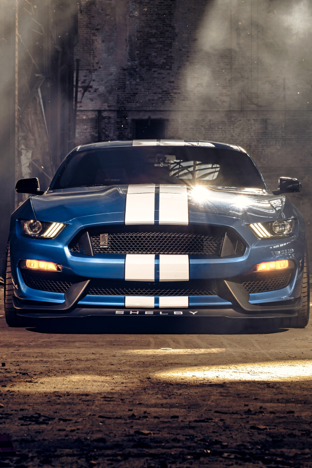 Гоночный автомобиль Ford Mustang Shelby GT350 вид спереди