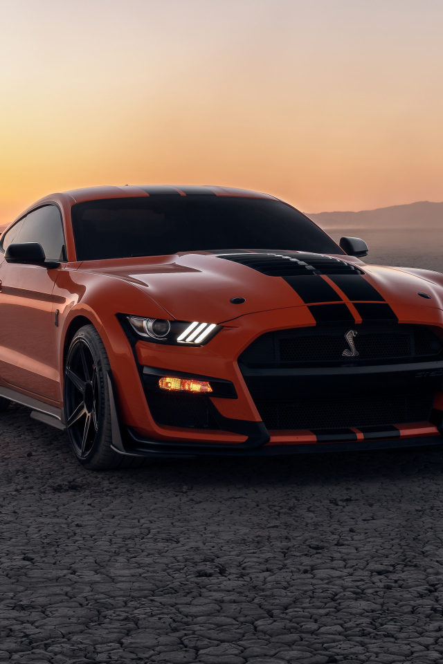 Красный  Ford Shelby GT500 на фоне заката
