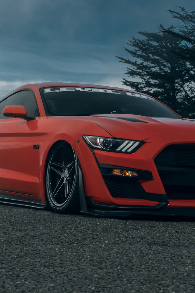 Красный автомобиль Ford Shelby GT500  на дороге