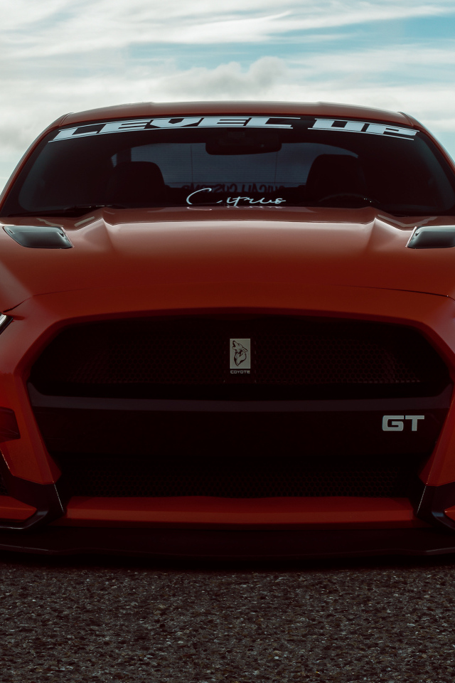 Красный спорткар Ford Shelby GT500 вид спереди