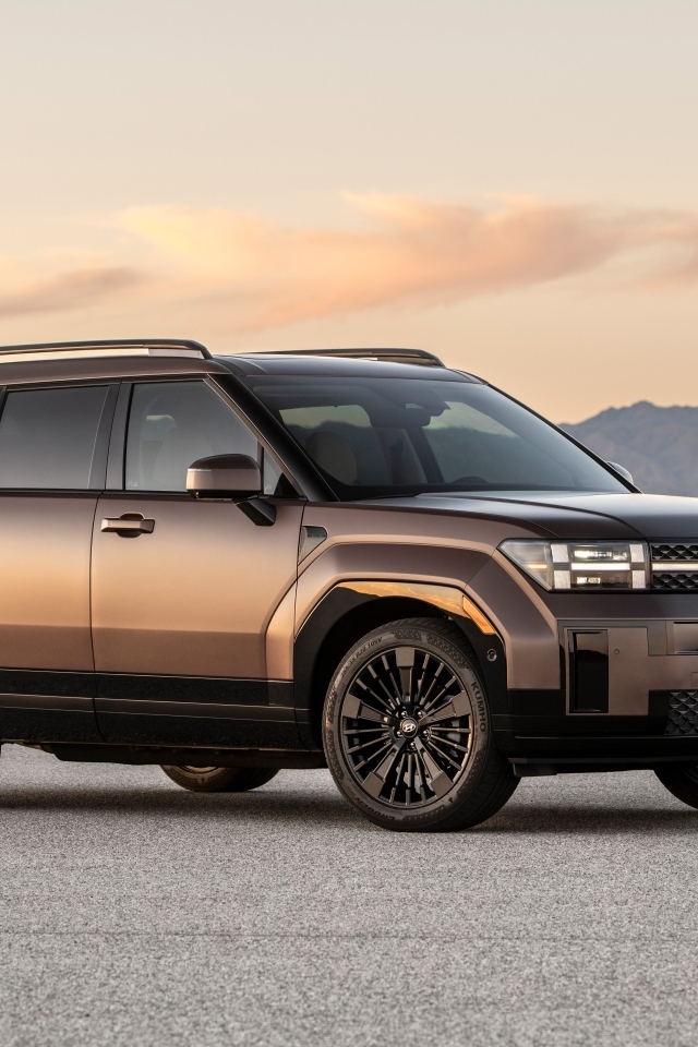 Большой внедорожник Hyundai Santa Fe Calligraphy 2024 года