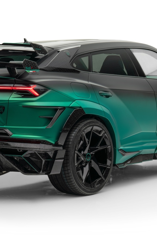 Вид сзади на автомобиль Lamborghini Urus Mansory Venatus S