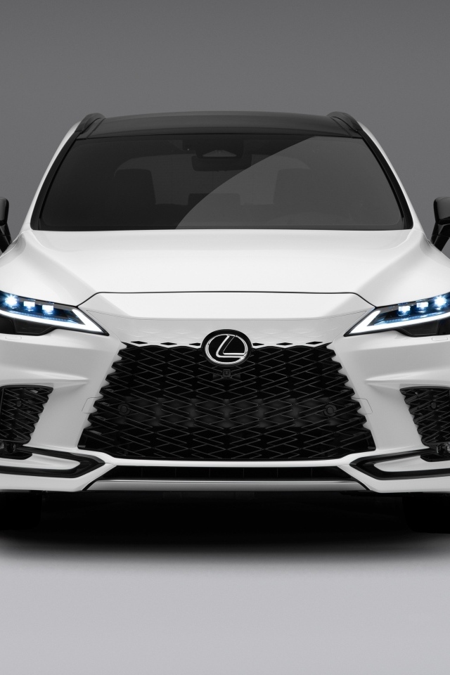 Вид спереди на автомобиль  Lexus RX 500h F SPORT