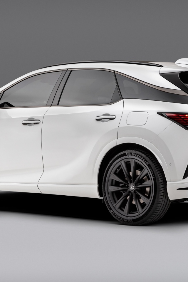 Белый внедорожник Lexus RX 500h F SPORT вид сзади